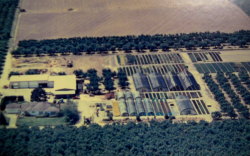 Old Aerial Photo